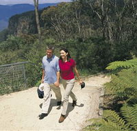 Blue Mountains Walking Tracks - Lennox Head Accommodation