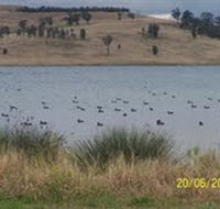 Lake Liddell Recreation Area - Lennox Head Accommodation