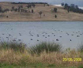 Lake Liddell Recreation Area - Lennox Head Accommodation 0