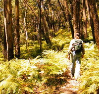 Federal Pass - Lennox Head Accommodation