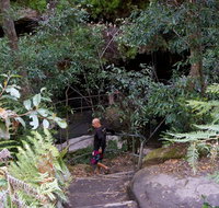 Leura Cascades Fern Bower - Lennox Head Accommodation