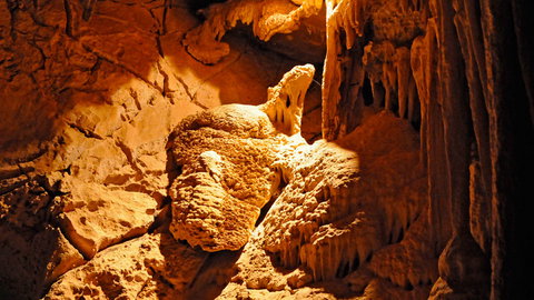 Wombeyan Karst Conservation Reserve - Lennox Head Accommodation 2