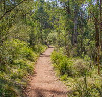 Mares Forest Creek walking track - Lennox Head Accommodation