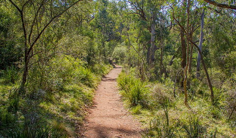 Mares Forest Creek Walking Track - Lennox Head Accommodation 0
