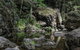 Mares Forest Creek Walking Track - thumb 1