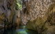 Mares Forest Creek Walking Track - thumb 2