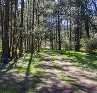 Wombeyan Waterfall walking track - Lennox Head Accommodation