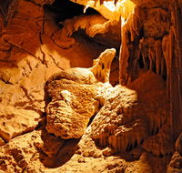 Fig Tree Cave - Lennox Head Accommodation