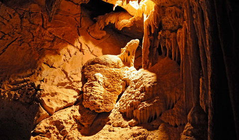 Fig Tree Cave - Lennox Head Accommodation 0