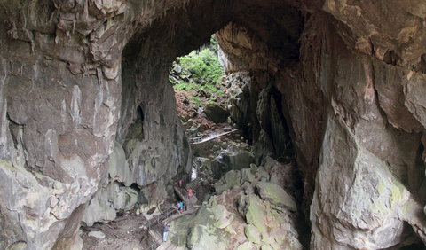 Fig Tree Cave - Lennox Head Accommodation 1