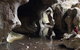 Fig Tree Cave - thumb 2