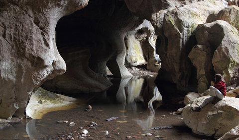 Fig Tree Cave - Lennox Head Accommodation 2