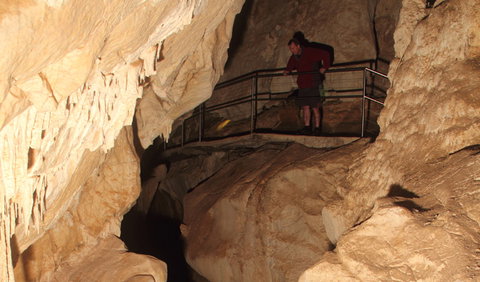 Fig Tree Cave - Lennox Head Accommodation 3