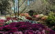 Wildwood Garden - thumb 2