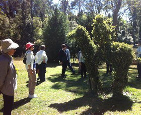 Wildwood Garden - Lennox Head Accommodation 3