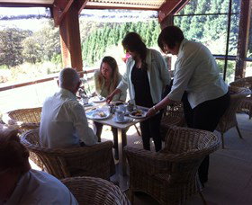 Wildwood Garden - Lennox Head Accommodation 4
