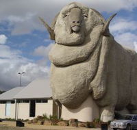 Big Merino - Lennox Head Accommodation