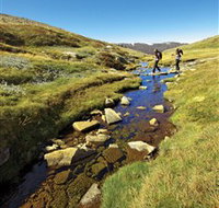Australian Alps Walking Track - Lennox Head Accommodation