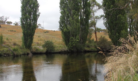 Thredbo River Picnic Area - Lennox Head Accommodation 3