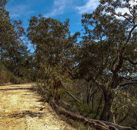Parr State Conservation Area - Lennox Head Accommodation