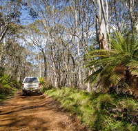 Barrington trail - Lennox Head Accommodation