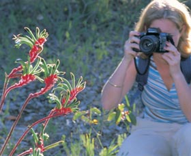 Kalamunda National Park - Lennox Head Accommodation 1