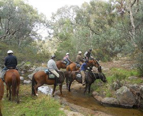 Snowy Wilderness - Lennox Head Accommodation 5