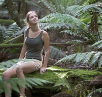 Barrington Tops National Park - Honeysuckle Forest Track - Lennox Head Accommodation