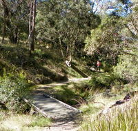 Wollomombi walking track - Lennox Head Accommodation