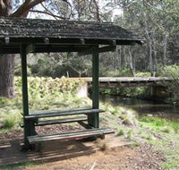 Barrington Tops State Forest - Lennox Head Accommodation