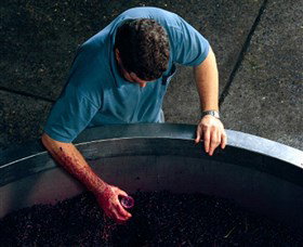 Calais Estate Wines - Lennox Head Accommodation 2