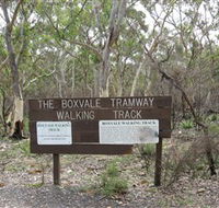 Box Vale Picnic Area - Lennox Head Accommodation