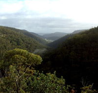 Nattai Gorge Lookout - Lennox Head Accommodation