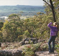 Gibbergunyah Reserve - Lennox Head Accommodation
