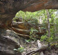 Cave Creek Walking Track - Lennox Head Accommodation