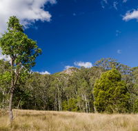 Brush Turkey track - Lennox Head Accommodation