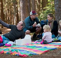 State Forests of the Watagan Mountains - Lennox Head Accommodation