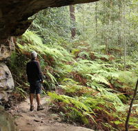Dharug National Park - Lennox Head Accommodation
