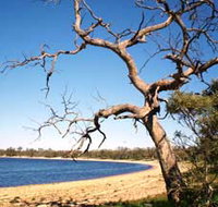Lake Indoon - Lennox Head Accommodation
