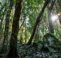 Copeland Tops State Conservation Area - Lennox Head Accommodation