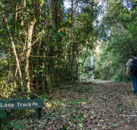 Basin Loop track - Lennox Head Accommodation