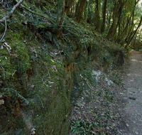 Hidden Treasure track - Lennox Head Accommodation