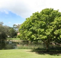 Hervey Bay Botanic Gardens - Lennox Head Accommodation