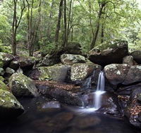 Kangaroo River - Lennox Head Accommodation