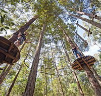 TreeTop Adventure Park Central Coast - Lennox Head Accommodation