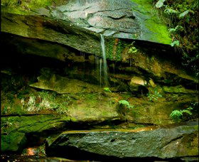 Niagara Park NSW Lennox Head Accommodation