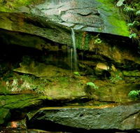 Strickland State Forest - Lennox Head Accommodation