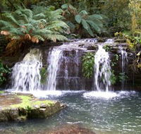 Barrington Tops National Park Walks - Lennox Head Accommodation