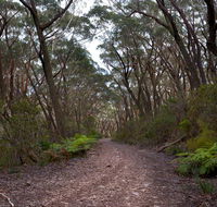 Budawang National Park - Lennox Head Accommodation