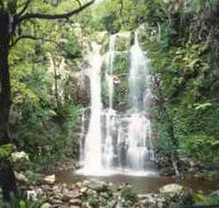 Budderoo National Park - The Falls Walk - Lennox Head Accommodation